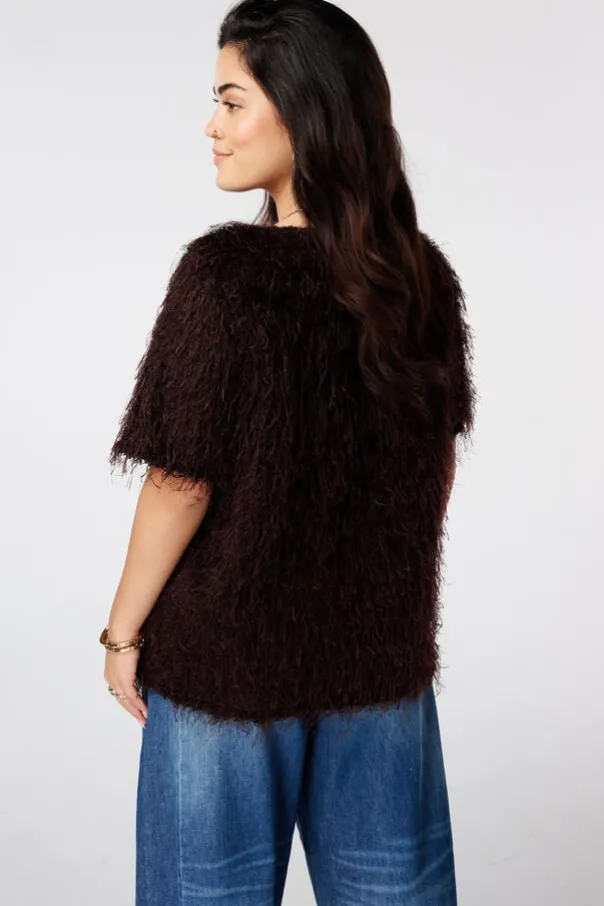 Fuzzy top