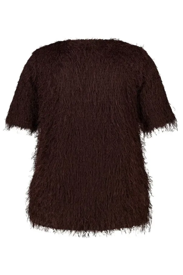 Fuzzy top