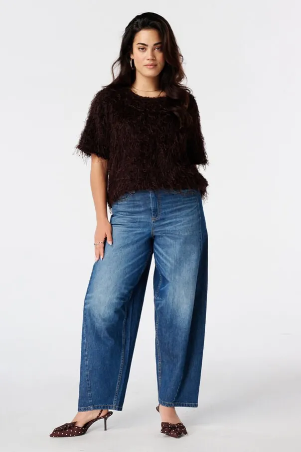 Fuzzy top