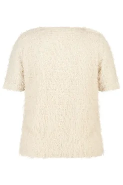 Fuzzy top